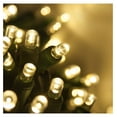thumbnail image 1 of 5mm LED Wide Angle Warm White Prelamped Light Set, Green Wire - 70 5mm Warm White LED Christmas Lights, 6" Spacing, 1 of 6