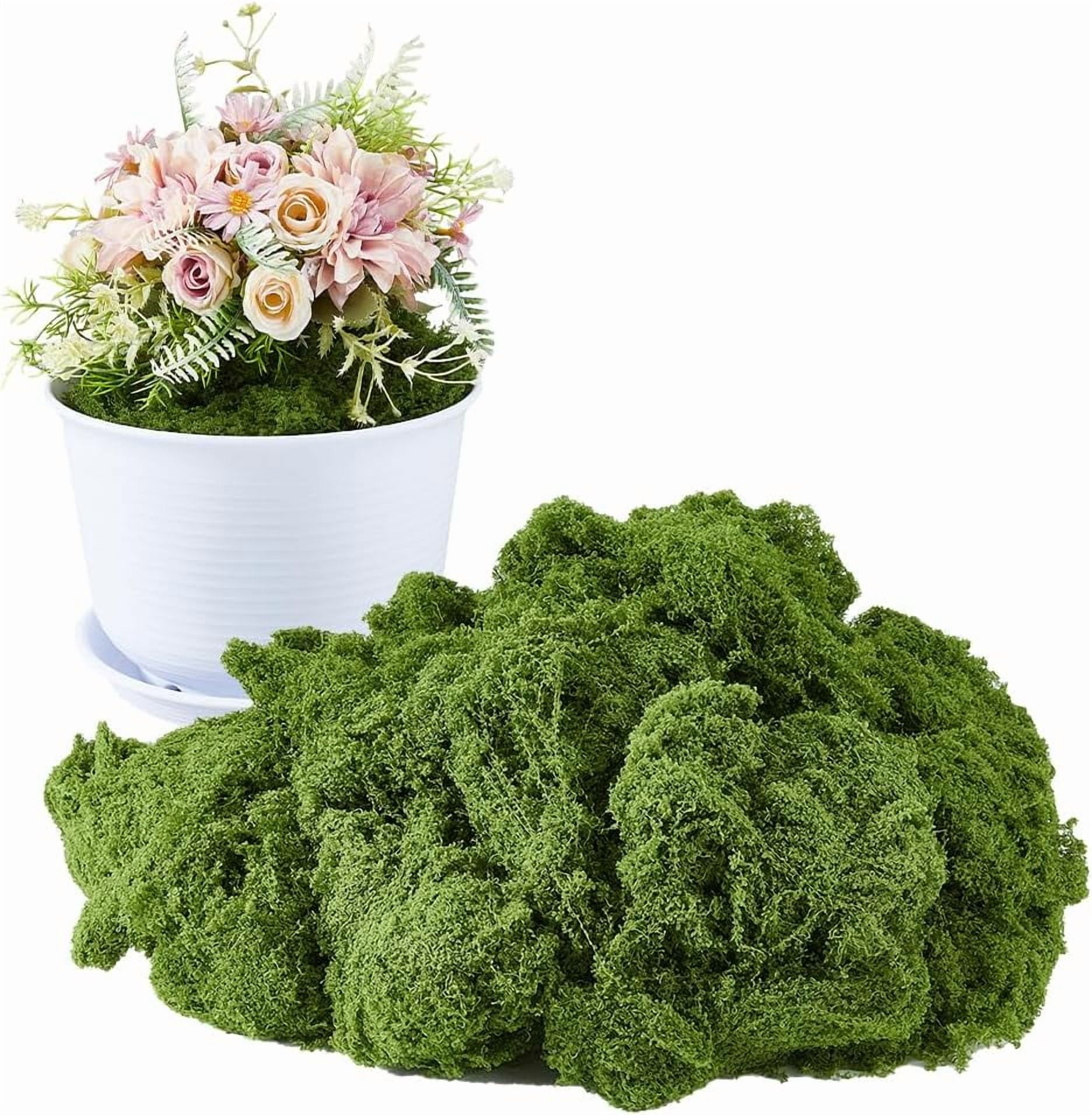 5mmx500g Artificial Moss 17.6oz Green Moss Grass Decor for DIY Decorative Walls Table Centerpieces Wedding Party Photography Props Decor Fairy Garden Model Making Accessories Green