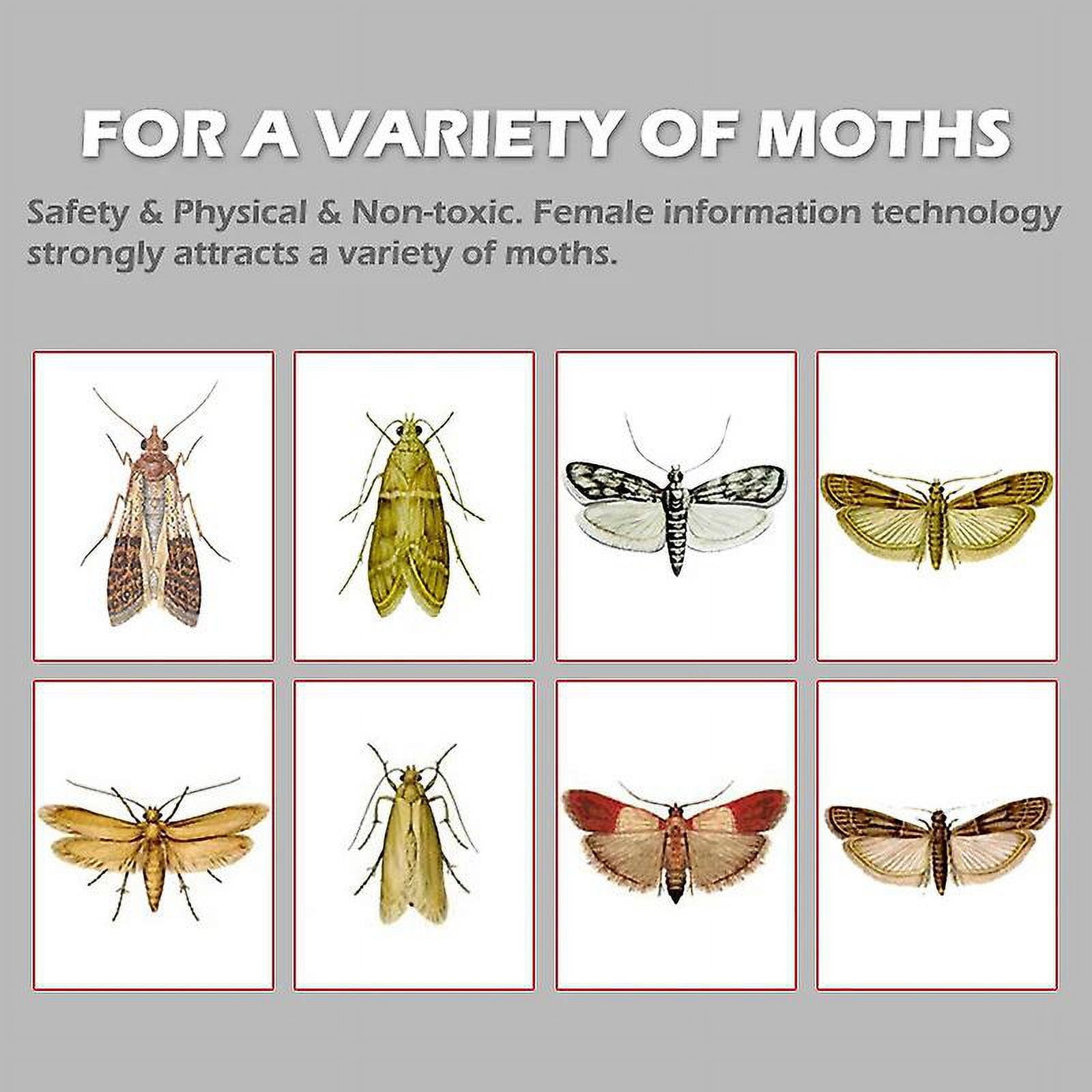 5packs Moth Traps, Pantry Moth Trap for House, Clothes Moth Trap, Moth Balls for Kitchen, Clothes, House, Food, Carpet, Cupboard