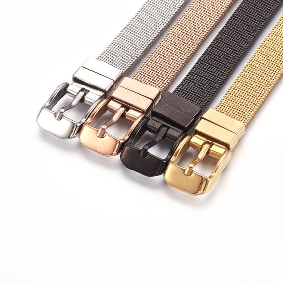 5pc 304 Stainless Steel Watch Bands Watch Belt Fit Slide Charms Mixed Color 8-1/2 inch(21.5cm) 10mm