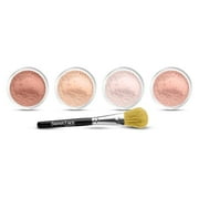 5pc BLUSH SET with BRUSH Mineral Makeup Kit Bare Face Powder Rouge Highlight Sample Size Blush Set