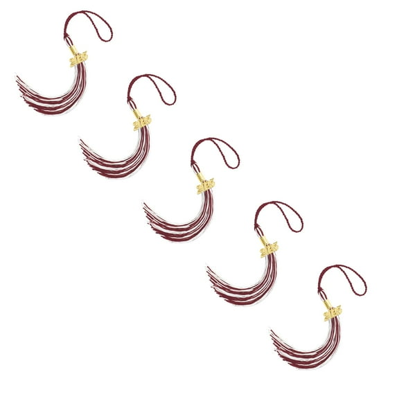 5pcs 2025 Graduation Tassel Academic Graduation Cap Tassels Multi-Color 2025 Tassel With 2025 Year Date for Graduation Students Grad Cap Decorations Graduate Gifts