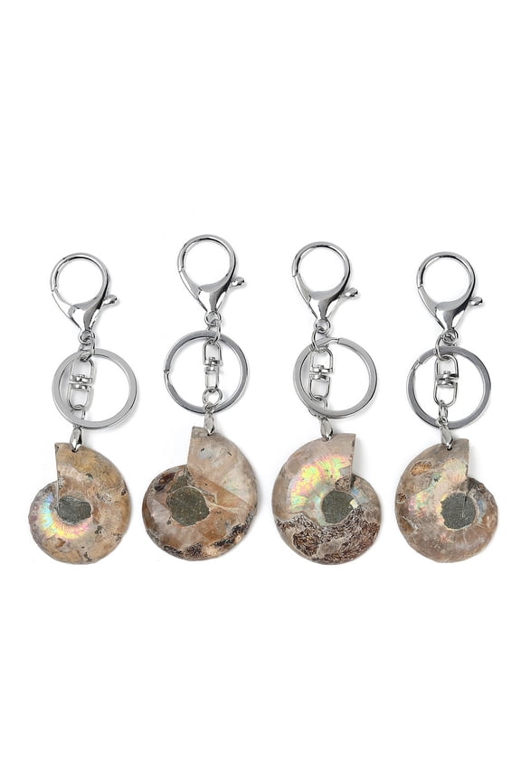 5pcs Alloy Natural Snail Fossil Keychains Iron Split Key Rings Conch 111~118mm