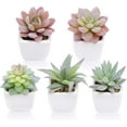thumbnail image 1 of 5pcs Artificial Succulent Plants in White Ceramic Pots, Fake Small Fake Plants, Faux Mini Succulents Plants Indoor for Desk Living Room Bedroom Windowsills Office Home Decoration, 1 of 5
