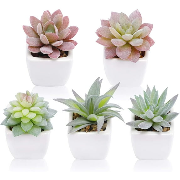 5pcs Artificial Succulent Plants in White Ceramic Pots, Fake Small Fake Plants, Faux Mini Succulents Plants Indoor for Desk Living Room Bedroom Windowsills Office Home Decoration