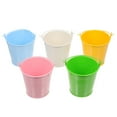 5pcs Creative Iron Sheet Bucket Simple Flowerpot Mini Bucket For Garden