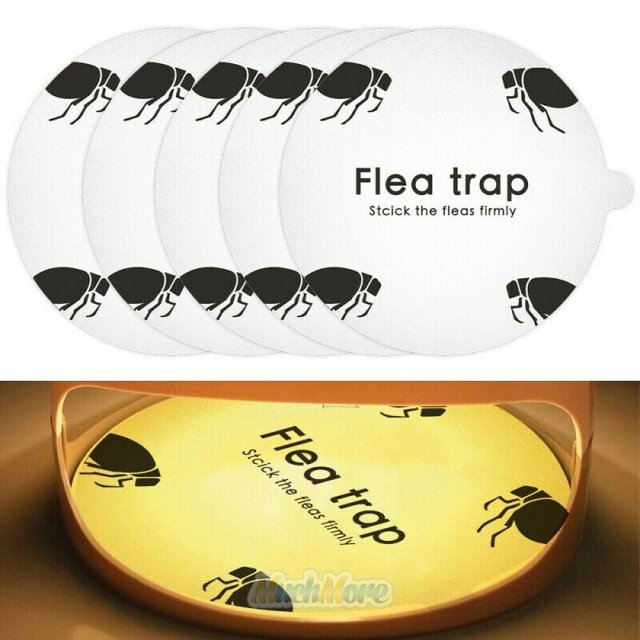 Victor Brand 5pcs Disposable Sticker Flea Trap Refills, Safe for Kids and Pets