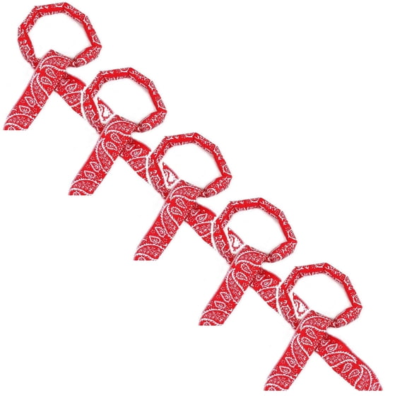 5pcs Fashion Paisley Physical Cooling Neck Cooler, Breathable Quick Absorb Ice Tube Bandana Towel for Running, Cycling & Daily Sports