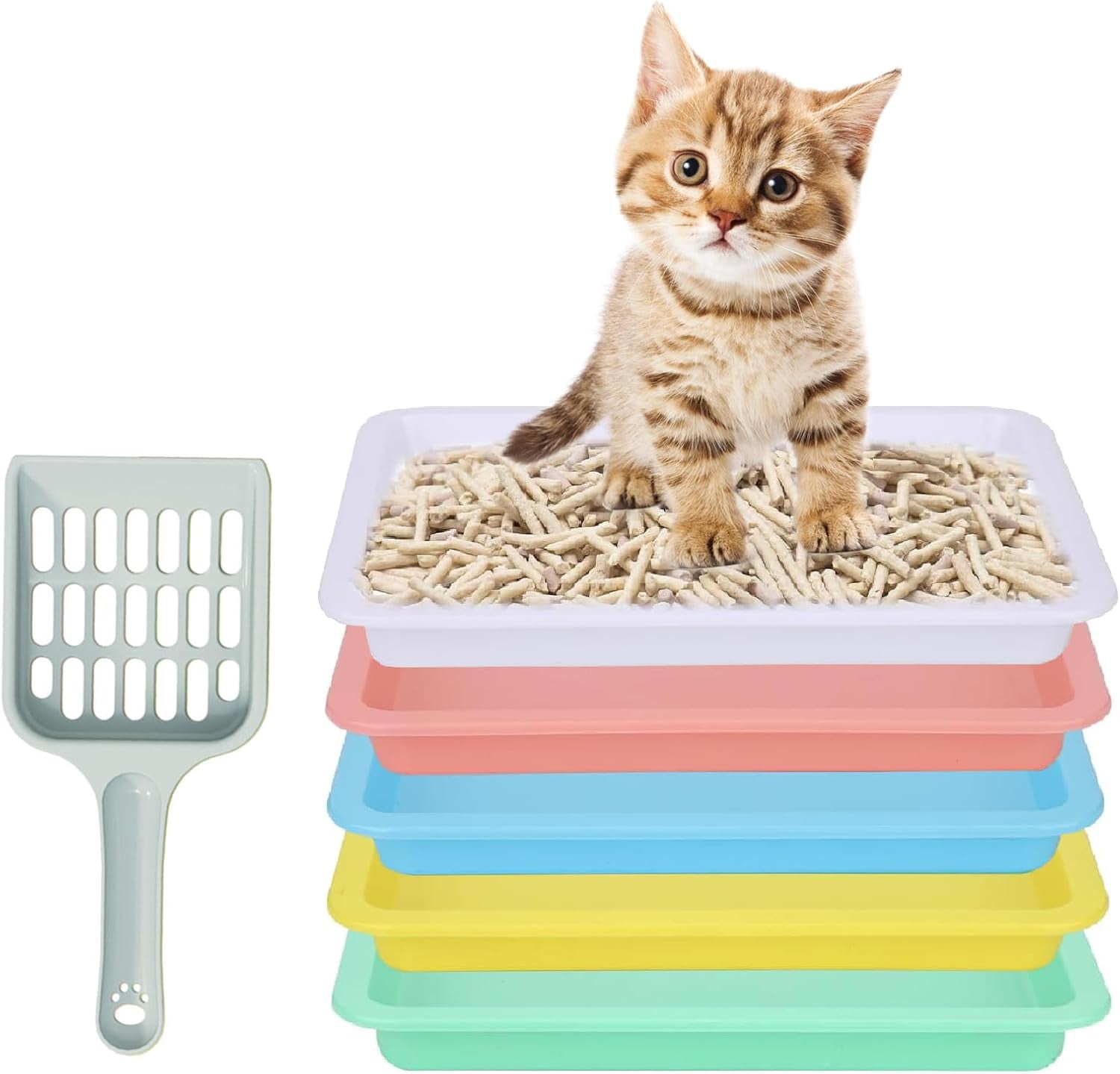 5pcs Kitten Litter Box, Small Cat Litter Box with Scooper, Small Litter ...