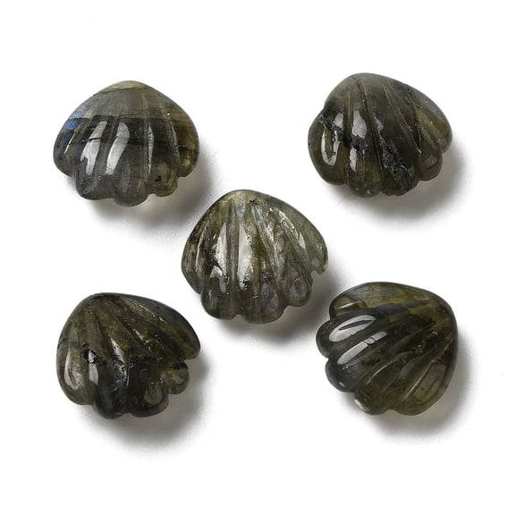 5pcs Labradorite Carved Beads No Hole Shell Shape 15x15x6.5mm