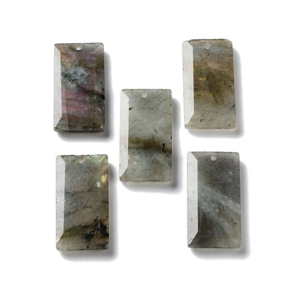 5pcs Labradorite Pendants Faceted Rectangle 25x13x4~4.5mm Hole: 1mm