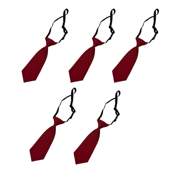 5pcs Ladies Dress Tie Polyester Fabric Professional Office Meeting Accessory Set