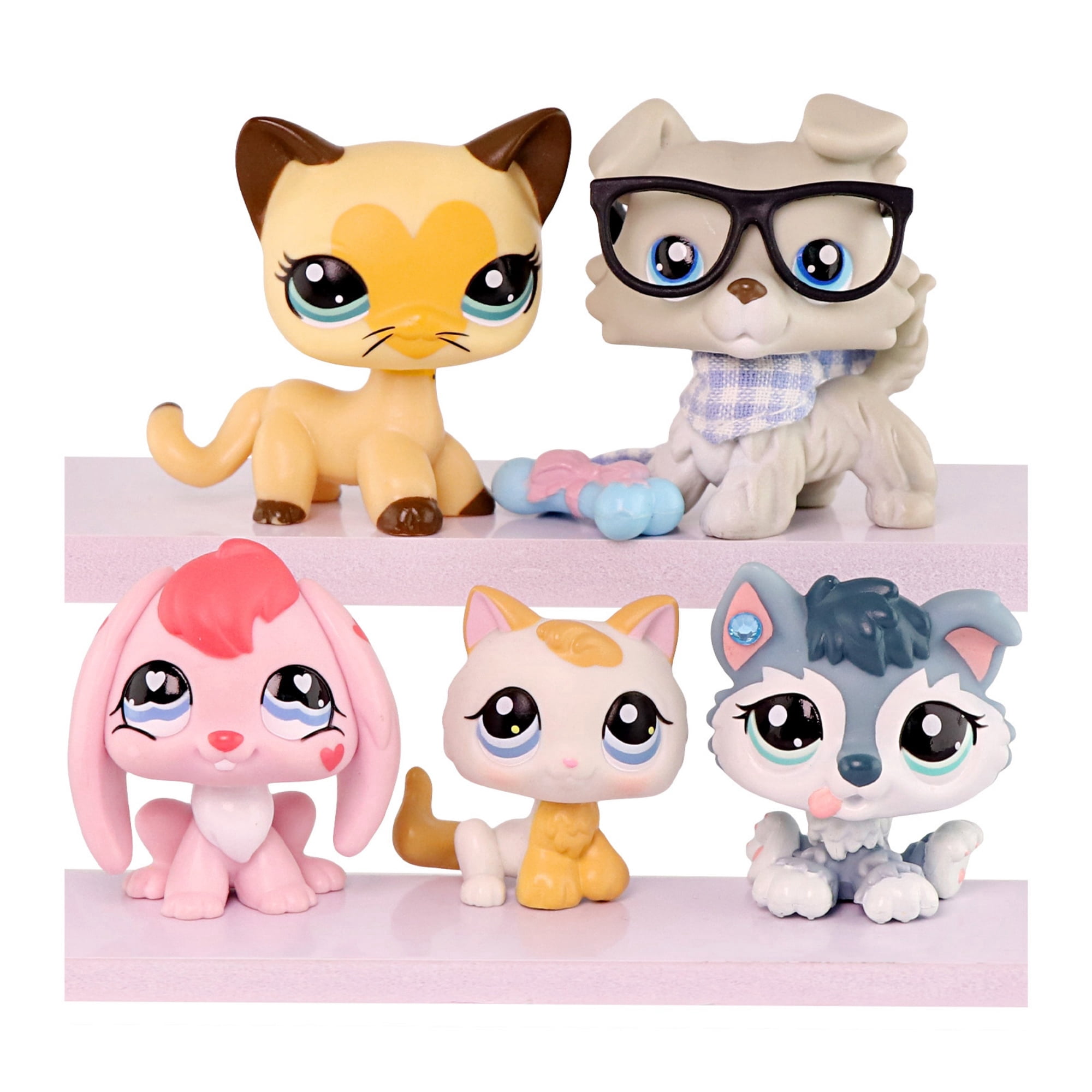 5pcs Mini Pet Toys Bunny Rabbit Collie Short Hair Cat Husky Puppy Kitten Cat with Accessories