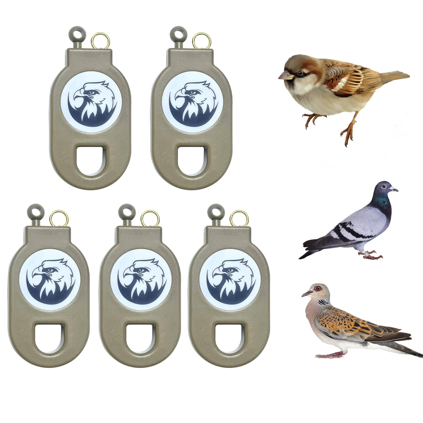 (5pcs) Mousetraps Bird Traps Used to Catch mice Sparrows Small ...