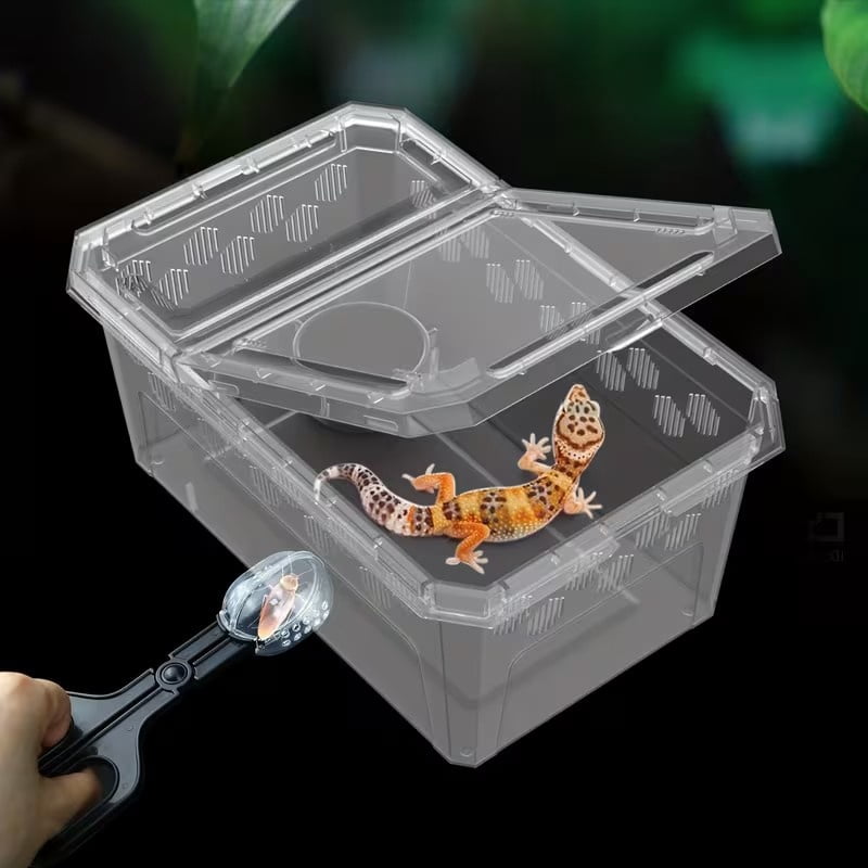 Big Scrub Python 5-Piece Reptile Enclosure Kit with Tanks, Bowls & Tong for Snakes ...