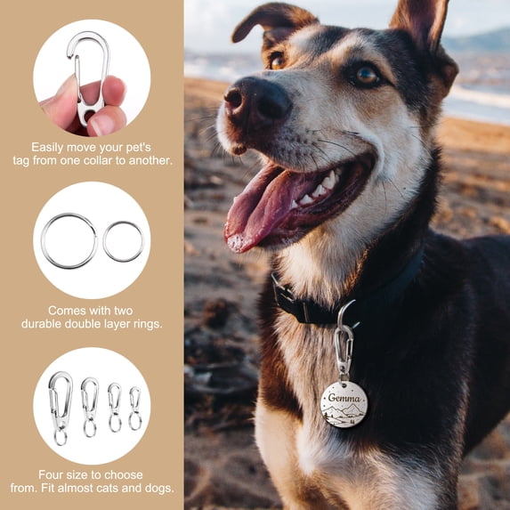 5pcs Stainless Steel Spring Snap Quick Link Carabiner Clip Duty, Large Carabiner Clip for Pet Tag/ Collar, Cat/Dog Leash, Key ring and Harness