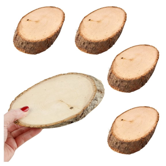 Factory Direct Craft Wood Oval Tree Trunk Slices, Set of 5, 8-1/4 Inch Natural Birch Wood Slabs