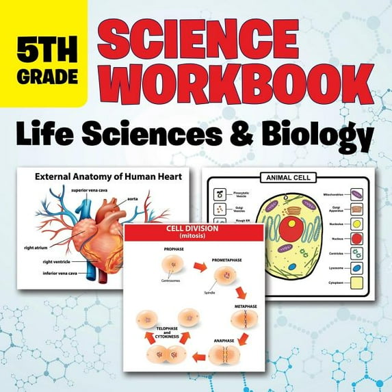 5th Grade Science Workbook: Life Sciences & Biology, (Paperback)
