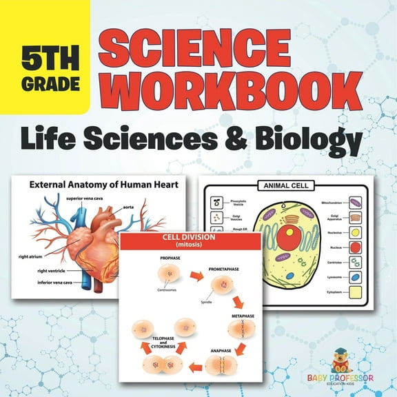 5th Grade Science Workbook: Life Sciences & Biology, (Paperback)