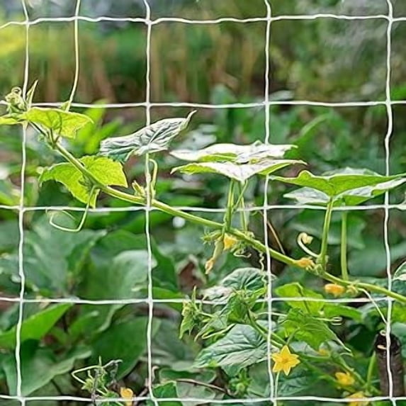 5x30FT Trellis Netting For Climbing Plants - Ruroz Garden Trellis Netting Plant Support Netting Heavy Duty Climbing Net Trellis For Cucumber Tomato Grape Vegetable Fruits Bean Climbing Plants Outdoor