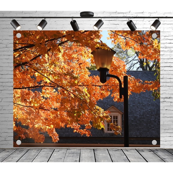 5x3ft Charming Autumn Street Backdrop Photoshoot Photo Backdrop Nature Scenery Background for Theme Party Wedding Birthday Baby Shower Decoration Banner Photo Booth Studio Props