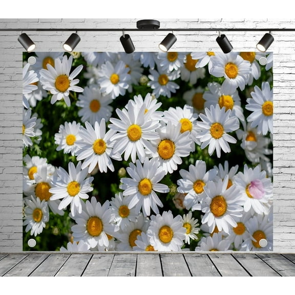 5x3ft Floral Backdrop White Daisy Field Photo Backdrop Garden Background Decoration Banner for Theme Party Wedding Birthday Baby Shower Photo Booth Studio Props