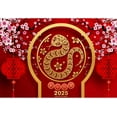 5x3ft Happy Chinese New Year 2025 Backdrop Plum Blossom Red Lantern Photography Background for
