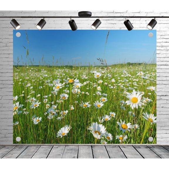 5x3ft Outdoor Background Blue Sky Daisy Meadow Scenic Wedding Birthday Party Photography Backdrop