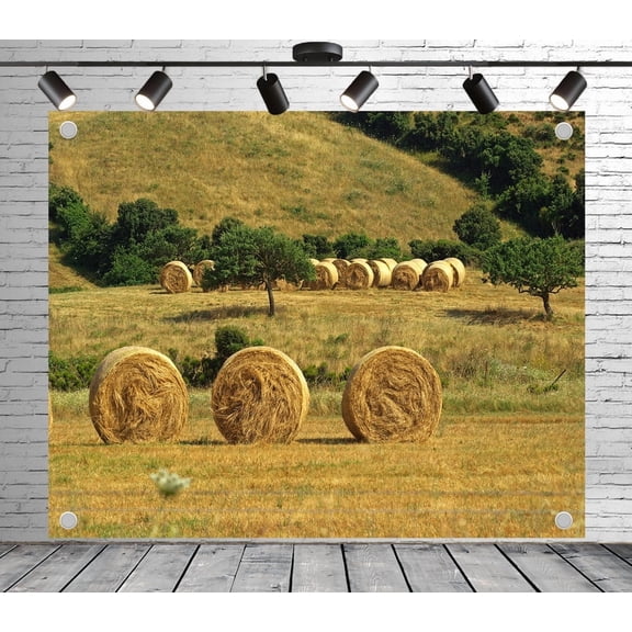 5x3ft Rustic Backdrop Field with Hay Bales Photo Backdrop Grass Background for Theme Party Wedding Birthday Baby Shower Decoration Banner Photo Booth Studio Props