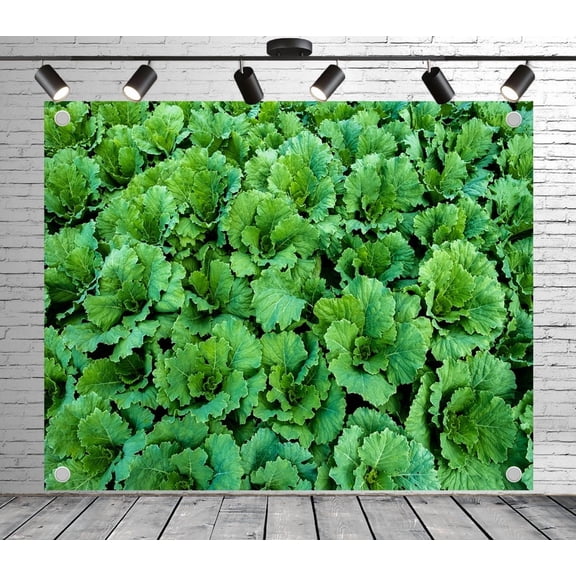 5x4ft Green Backdrop Cabbage Field Photo Backdrop Garden Background Decoration Banner for Theme Party Wedding Birthday Baby Shower Photo Booth Studio Props