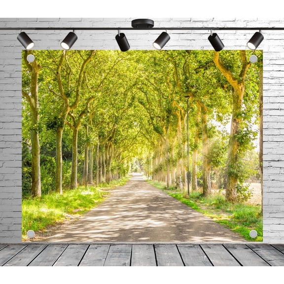5x4ft Serene Tree Lined Sunlit Path Backdrop Photoshoot Photo Backdrop Nature Scenery Background for Theme Party Wedding Birthday Baby Shower Decoration Banner Photo Booth Studio Props
