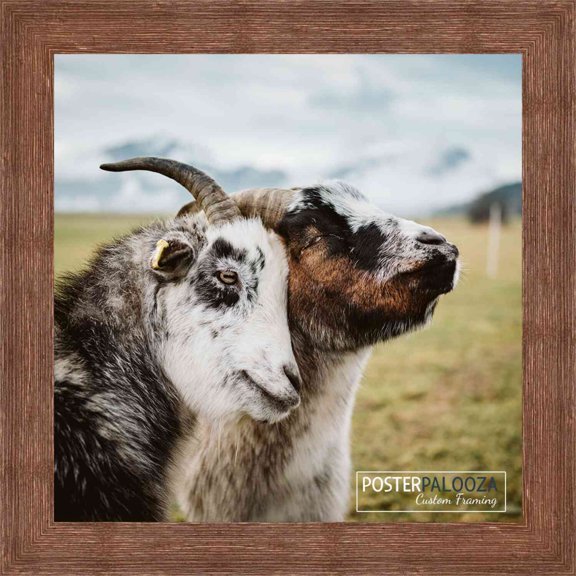 5x5 Brown Rustic Wide Barnwood Picture Frame - UV Acrylic, Foam Board Backing, Hanging Hardware