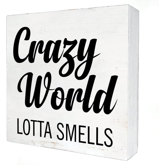 5x5 IN Humor Bathroom Wooden Box Sign with Saying Desk Decor Crazy World Lotta Smells Box Sign Wood Plaque Block Sign