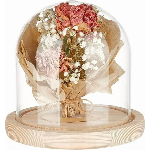 5x5 Inch Blanched Almond Glass Dome Cloche Wooden Display Dome Clear Glass Cloche Bell Jar for DIY Flower Craft Christmas Decorations