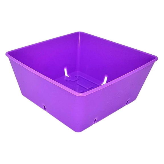 5x5 Seed Tray - 40 Pack - Extra Strength 5 x 5 Inserts Grow Microgreens, Wheatgrass Seeds, Fodder 1020 System 801 Trays