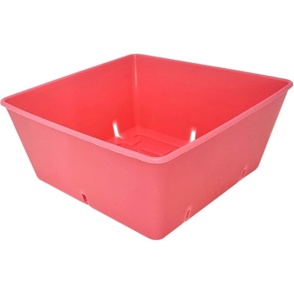 5x5 Seed Tray Pink - 80 Pack - Extra Strength 5 x 5 Inserts Grow Microgreens, Wheatgrass Seeds, Fodder 1020 System 801 Trays