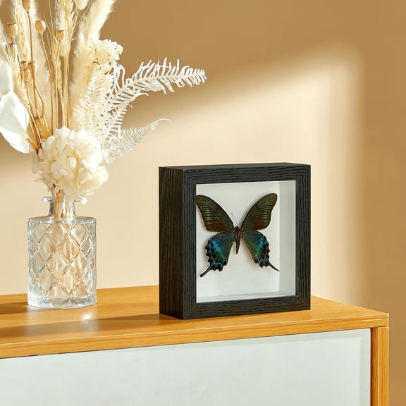 5x5 Shadow Box Picture Frame Display Case with Soft Linen Back, Thickened Panel, Deep Black Memory Box for Insect Display, Pet Photo, Memorial, Flower Craft