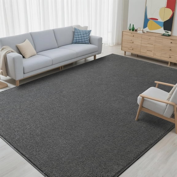 5x7 Area Rugs for Bedroom Living Room, Dark Grey Soft Thickened Memory Foam Carpet