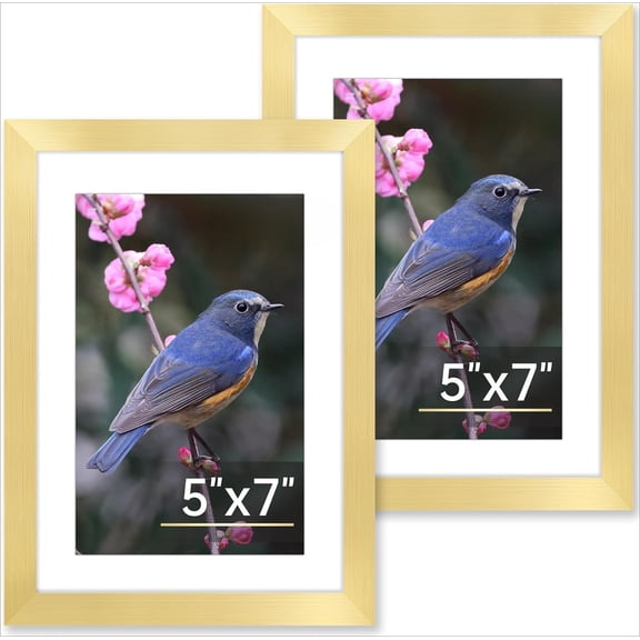 5x7 Picture Frame Set of 2, Gold Picture Frames Collage for Tabletop or Wall Display, Photo Frame with HD Plexiglass, Display Pictures 4x6 with Mat or 5x7 Without Mat