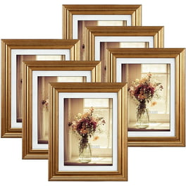https://i5.walmartimages.com/seo/5x7-Picture-Frames-Set-of-6-Display-5-by-7-Photo-with-Mat-or-6x8-without-Mat-for-Wall-or-Tabletop-Display-Gold_3dc7cb2b-2b07-4311-99b0-127c029f8f02.5e721339cf2c6144615bed881eb4e552.jpeg?odnHeight=264&odnWidth=264&odnBg=FFFFFF