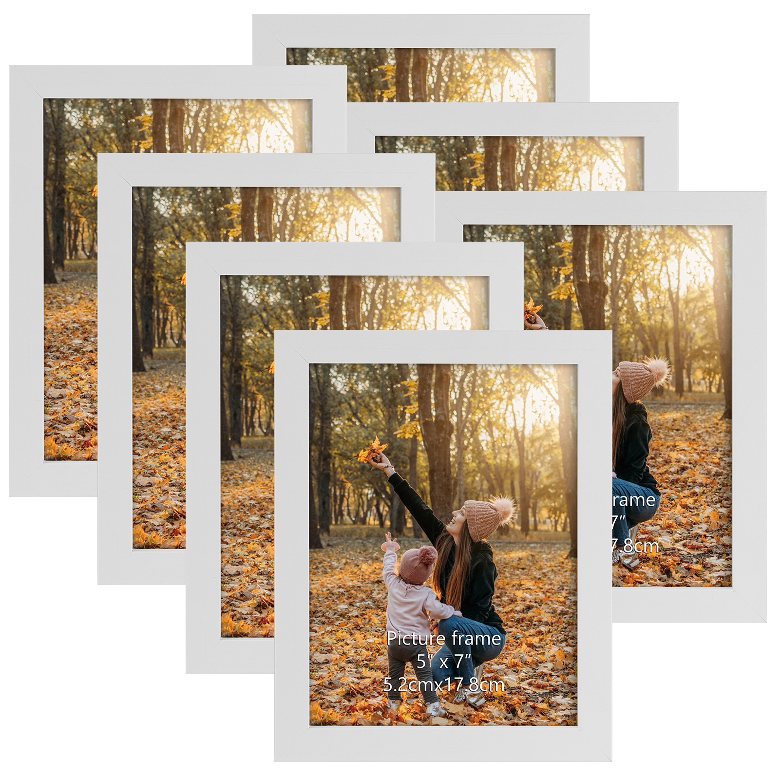 5 x 7 photo frame wall