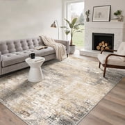 DEORAB 5x7 Area Rug Low Pile Lightweight Washable Rug Non Slip Backing Indoor Easy Care rug for Living Room, Bedroom, Dusty Beige
