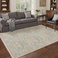 thumbnail image 1 of DEORAB 5x7 Area Rugs Persian Vines Dusty Blue Low Pile Lightweight Washable Non Slip Rug for Living Room, Bedroom, 1 of 5
