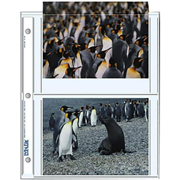 5x7in. Photo Pages (25 Pack)