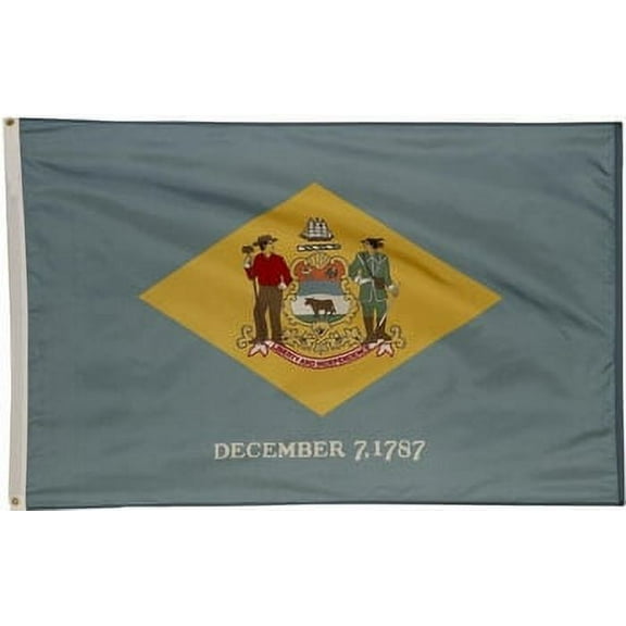 5x8' DURAWAVEZ DELAWARE NYLON FLAG CH&G