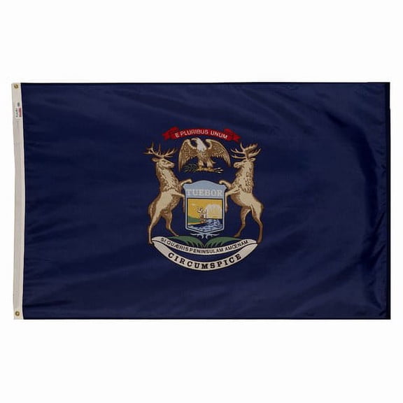 5x8' DURAWAVEZ MICHIGAN NYLON FLAG CH&G