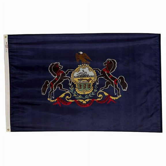 5x8' POLYWAVEZ PENNSYLVANIA POLY II FLAG CH&G