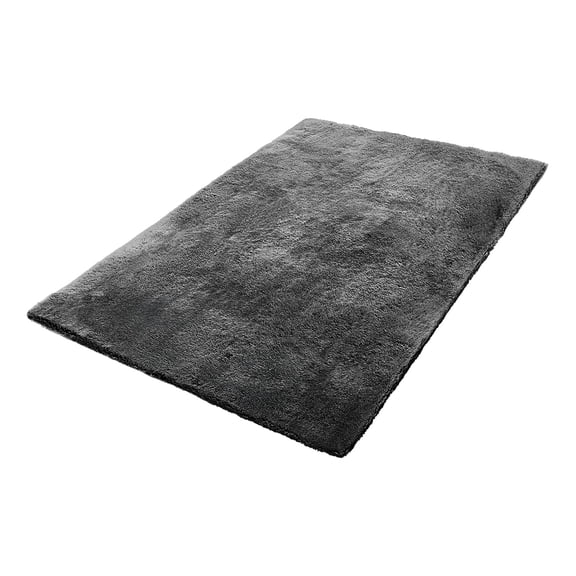 5x8 ft Soft Plush Shag Area Rug, Non-Shedding Slip-Resistant Dark Gray, for Living Room Bedroom Sunroom Modern Decor