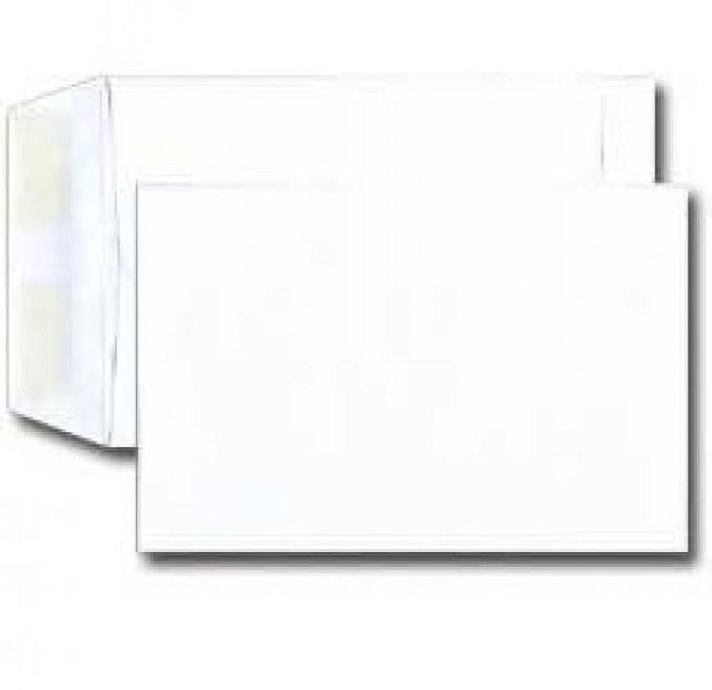 6 1/2 x 9 1/2 Catalog Envelope Open end 24 White (6.5 x 9.5