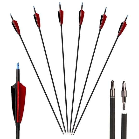 6/12PCS Arrows 31.5 inch Carbon Arrows Are Used To Recurve Bow Shooting and Hunting Practice